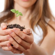 green plant sprout in female hand